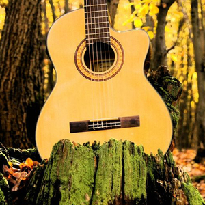 青青草网在线观看91
